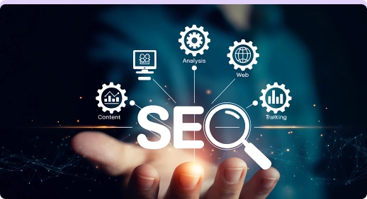 SEO Optimization