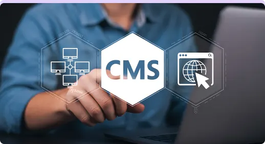 WordPress CMS Solution