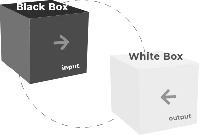 Black white box