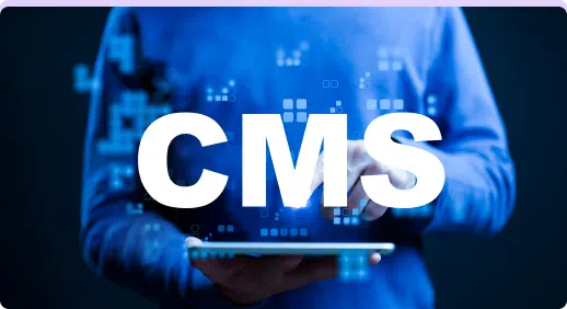 Custom CMS Development