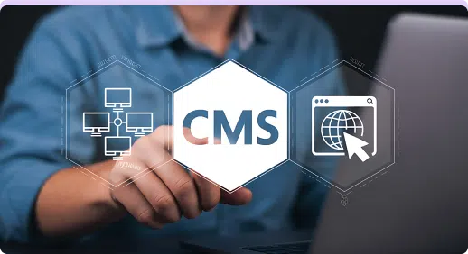 Custom CMS Development
