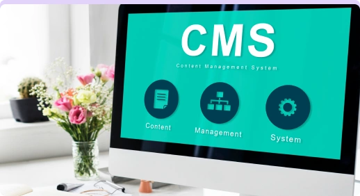 Custom CMS Development