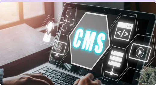 Custom CMS for Easy Updates