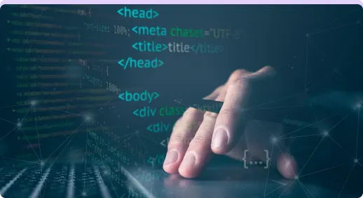 Custom WordPress Development