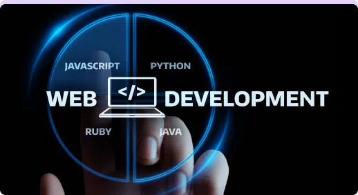 Custom WordPress Development