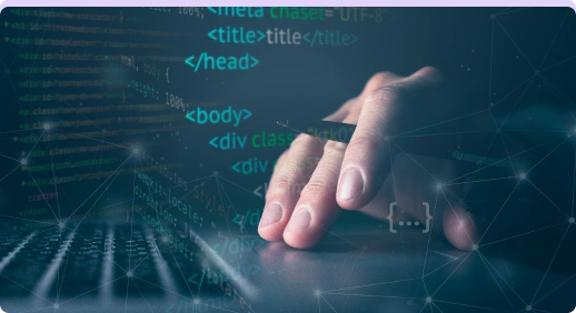 Custom WordPress Development