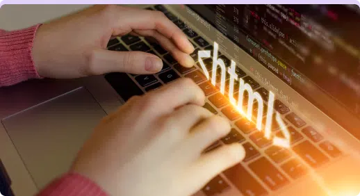 Custom Website Development