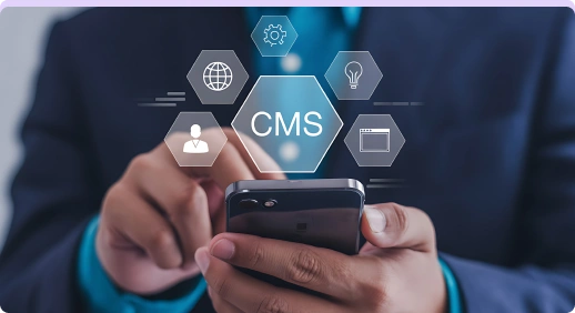 Developed CMS