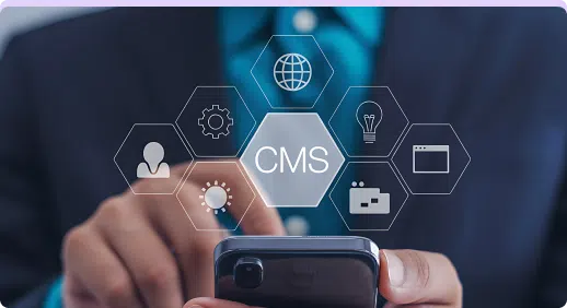 Efficient CMS Integration