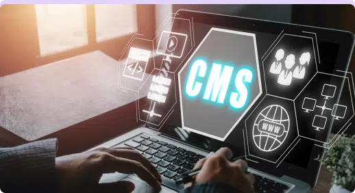 Flexible Custom WordPress Development