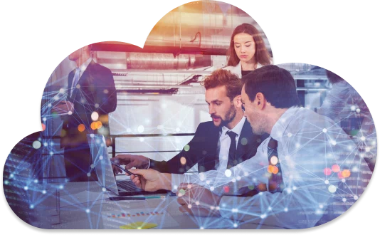 For Large Enterprises