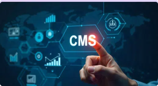 Scalable CMS Implementation