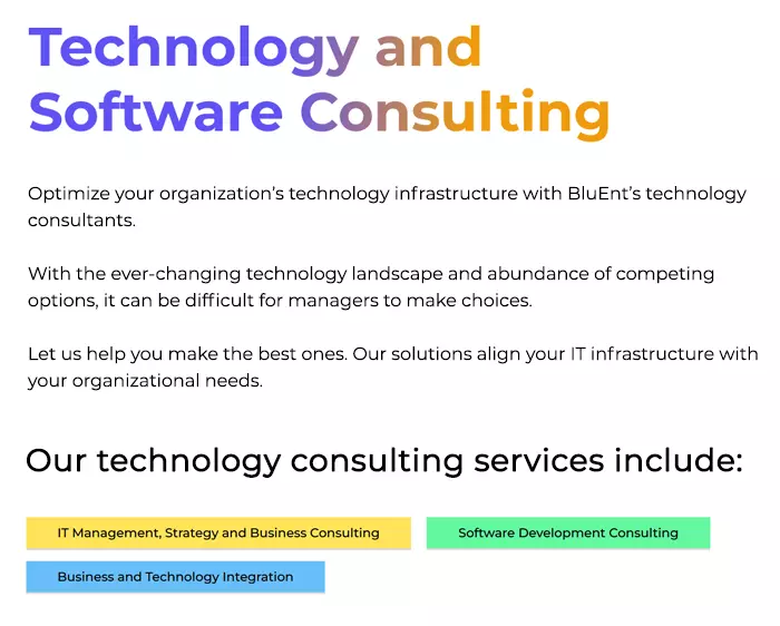 Technology and software consulting 