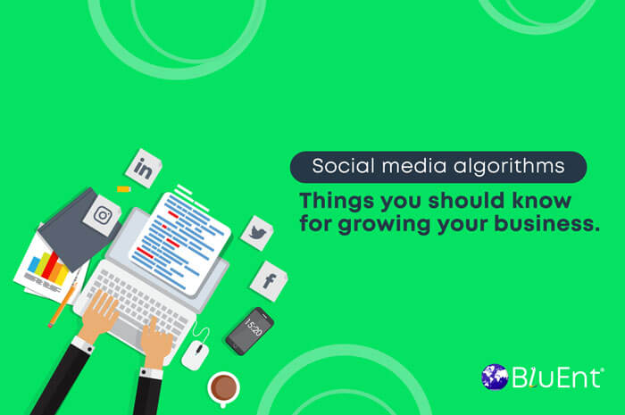 Algorithms of the Top 4 Social Media Channels defined