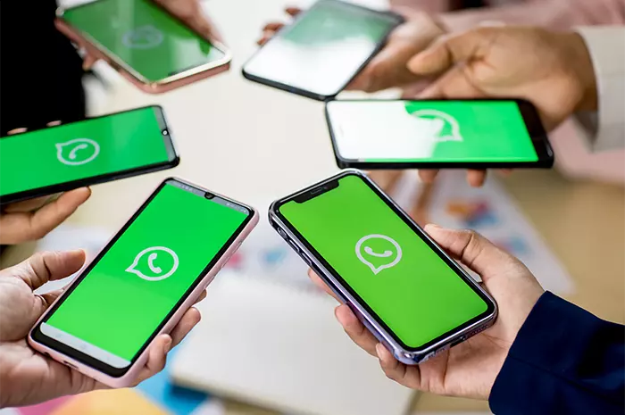 Dissecting WhatsApp’s Latest Update